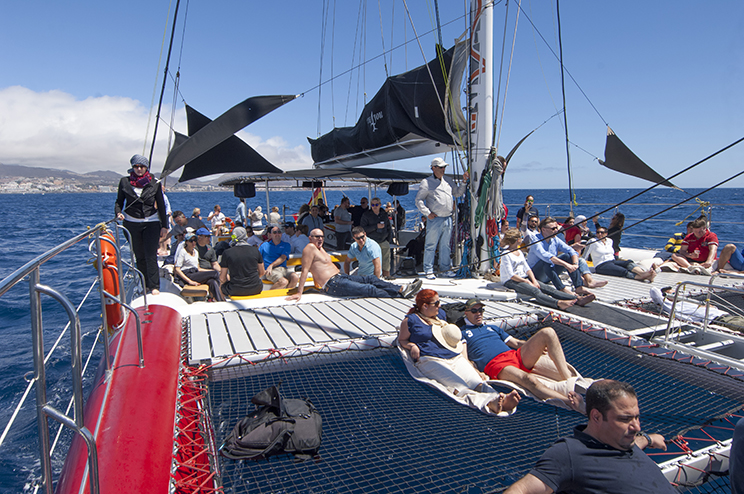 Tenerife Whale Watching